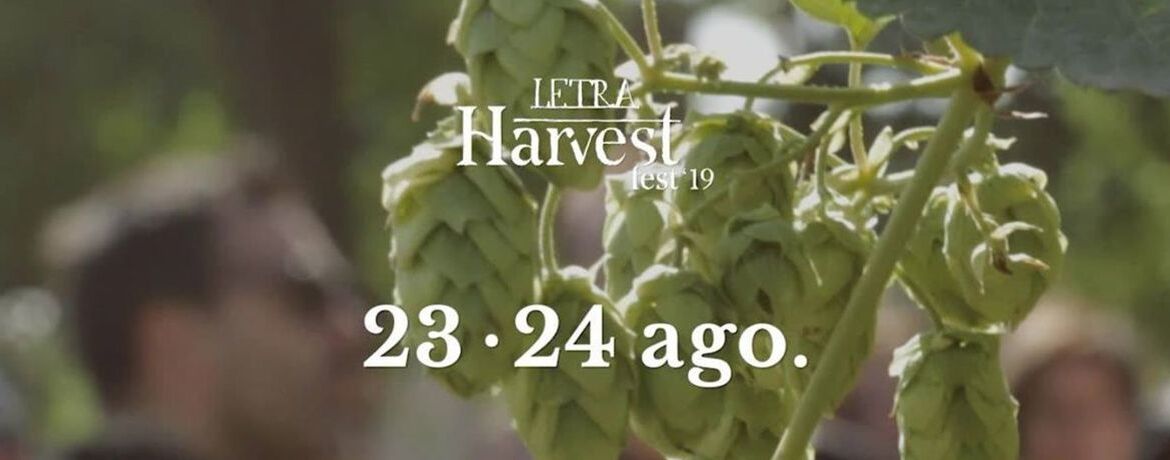 Letra Harvest Fest