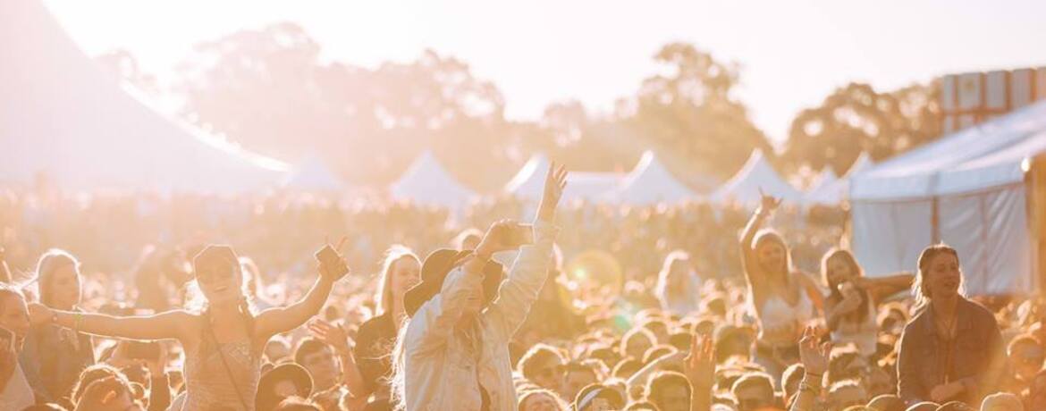 Groovin The Moo Maitland