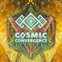 Cosmic Convergence