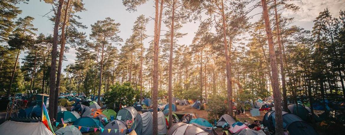 Öland Roots