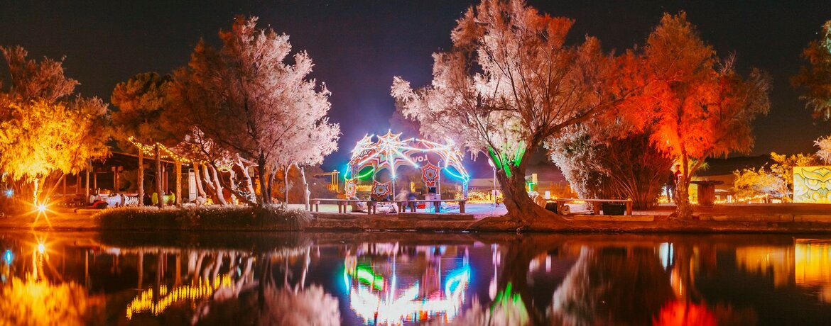 Joshua Tree Spring