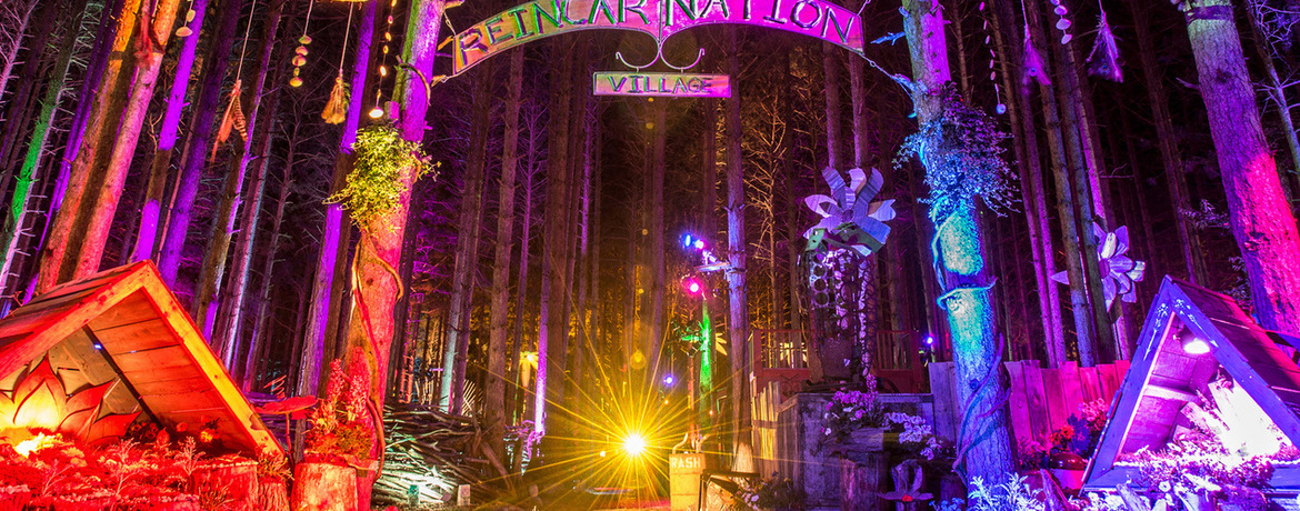 Electric Forest