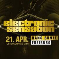 Electronic Sensation